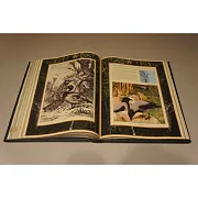 Настольная книга охотника — книга для мужчины — необычный подарок — фотография 3