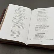 Книга Высоцкий "Прерванный полёт" — необычный подарок — фотография 4